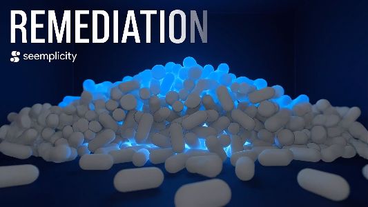 Seemplicity Explainer Video Script