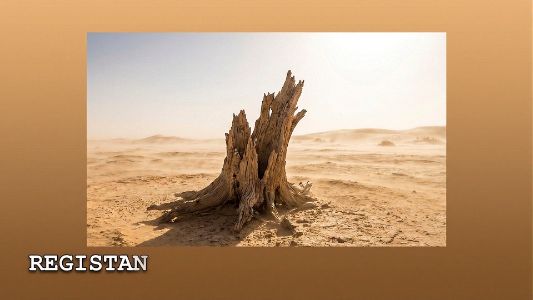 Eagle Man and Son in Rajasthan