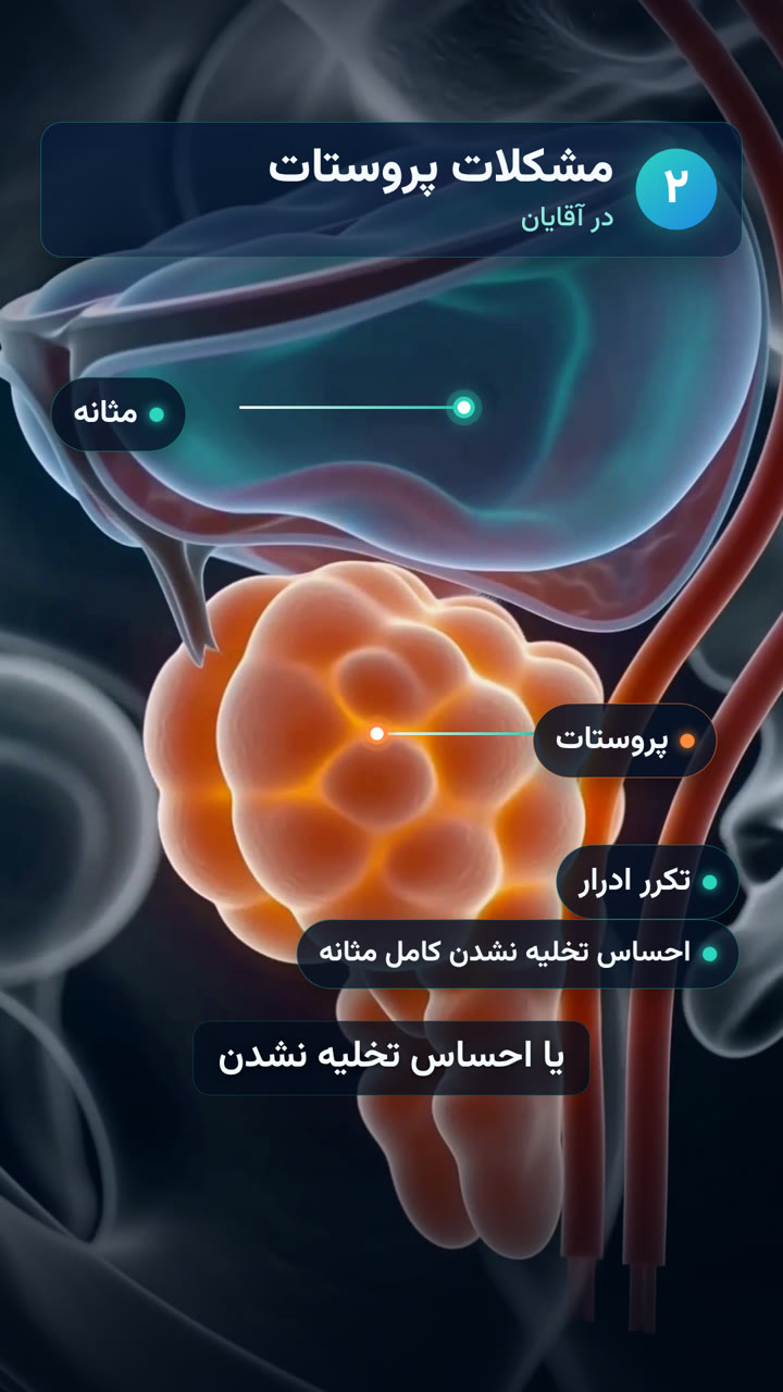 بیدار شدن شبانه برای ادرار | made with ngram