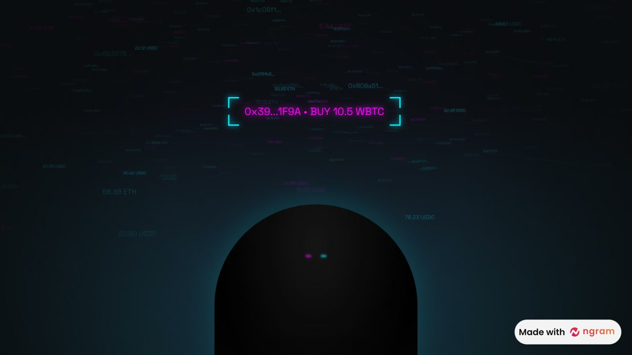 The Silent Pool Video Concept | explainer video made with ngram